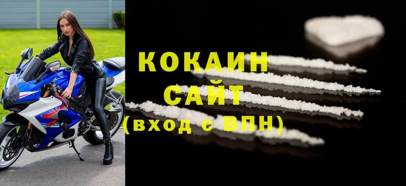 где купить наркотик  Бокситогорск  блэк спрут сайт  COCAIN VHQ 